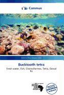Bucktooth tetra