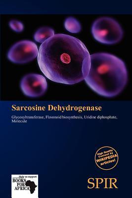 Sarcosine Dehydrogenase