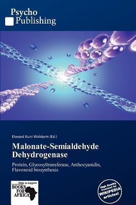 Malonate-Semialdehyde Dehydrogenase