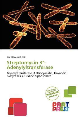 Streptomycin 3'-Adenylyltransferase