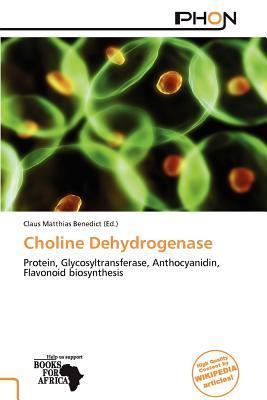 Choline Dehydrogenase