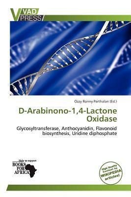 D-Arabinono-14-Lactone Oxidase