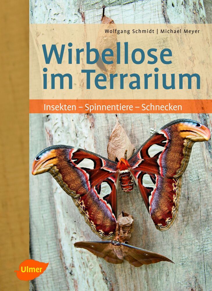 Wirbellose im Terrarium - Wolfgang Schmidt/ Michael Meyer