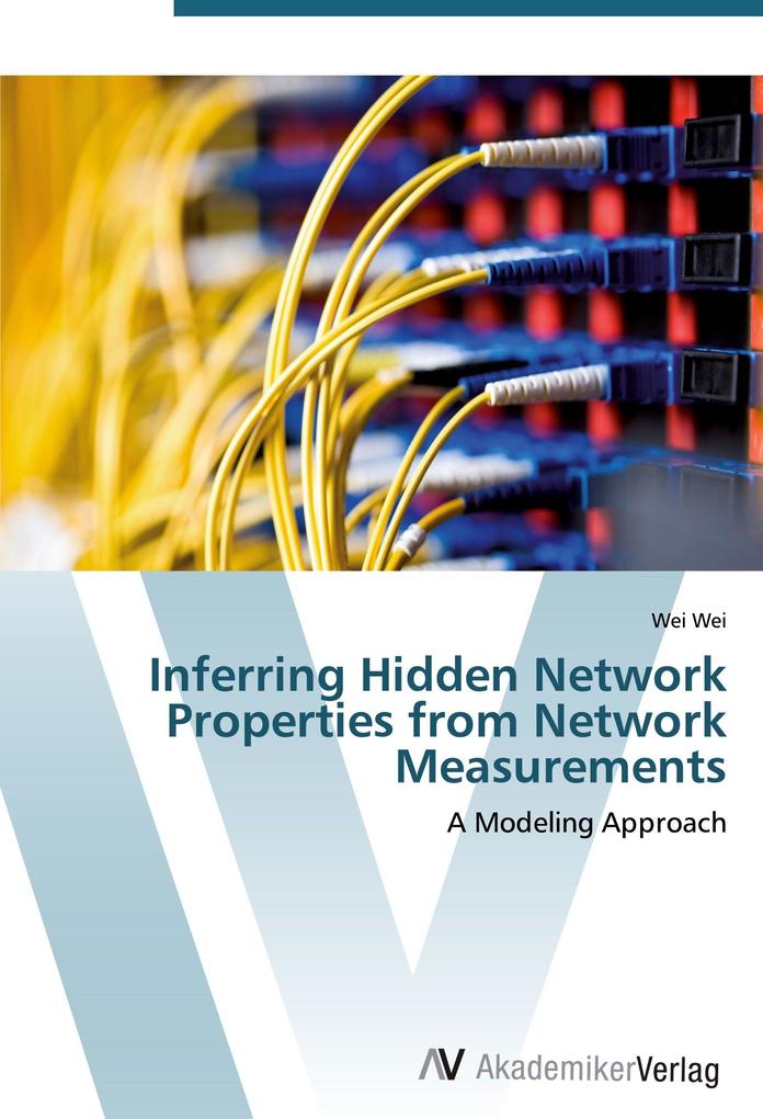Inferring Hidden Network Properties from Network Measurements