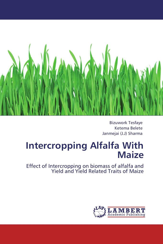 Intercropping Alfalfa With Maize