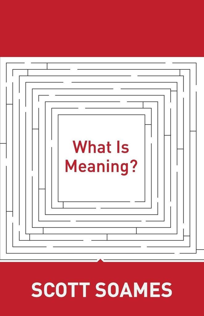 What Is Meaning?