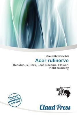 Acer rufinerve