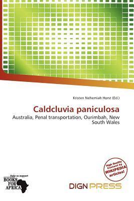 Caldcluvia paniculosa