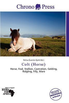 Colt (Horse)