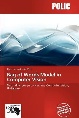 Bag of Words Model in Computer Vision