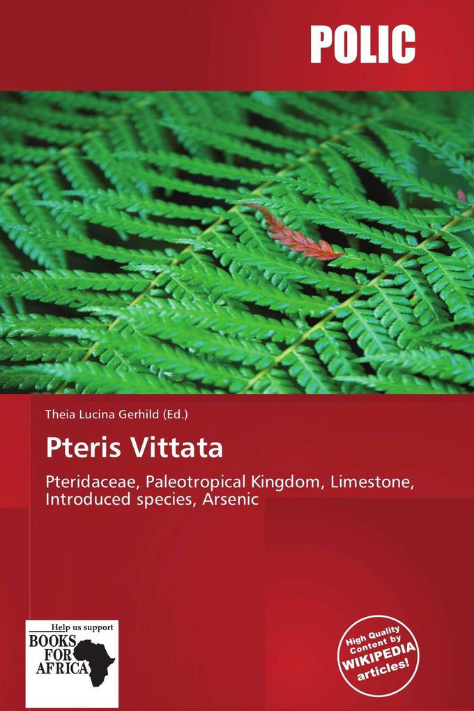 Pteris Vittata