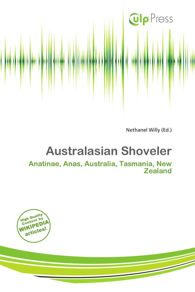 Australasian Shoveler