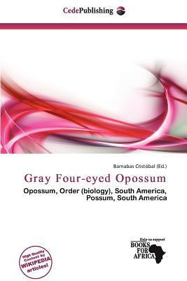 Gray Four-eyed Opossum