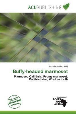 Buffy-headed marmoset