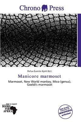 Manicore marmoset