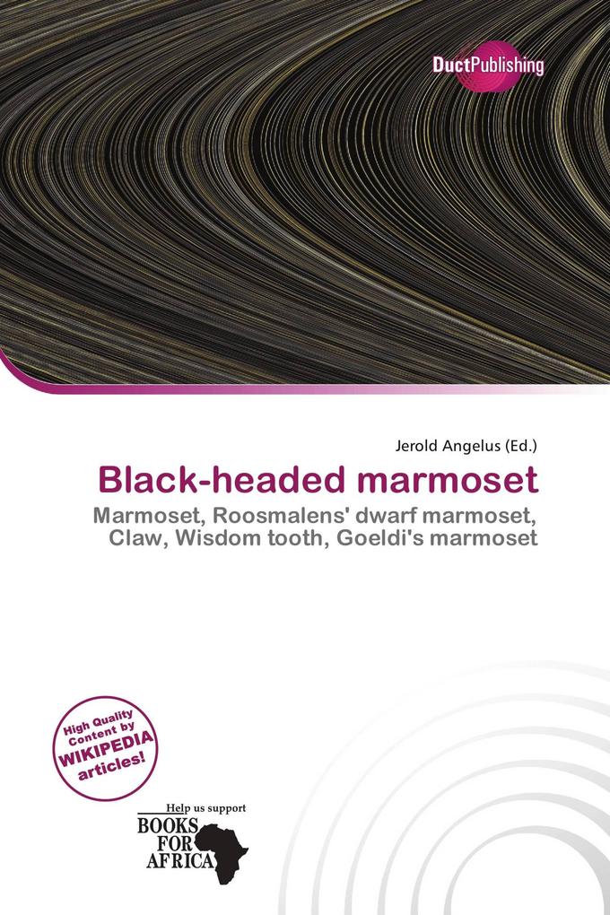 Black-headed marmoset