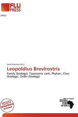 Leopoldius Brevirostris