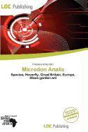 Microdon Analis