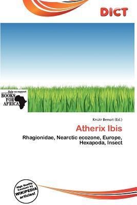 Atherix Ibis