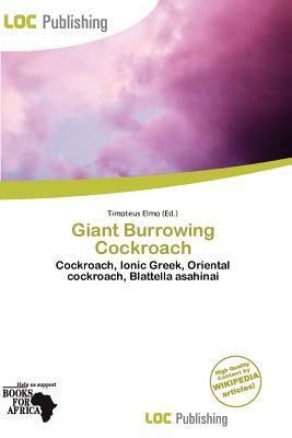 Giant Burrowing Cockroach
