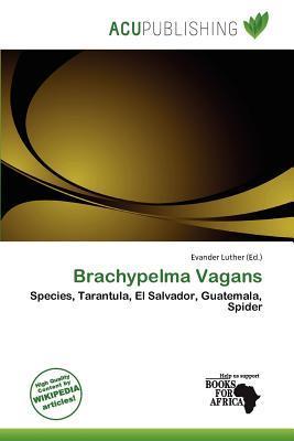 Brachypelma Vagans
