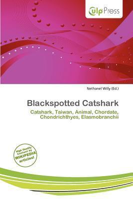 Blackspotted Catshark
