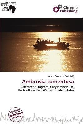 Ambrosia tomentosa