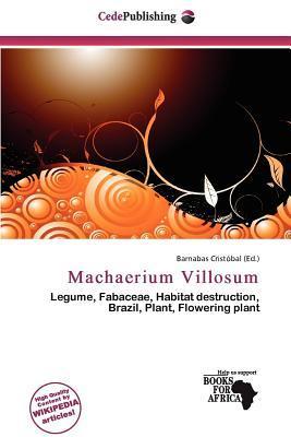 Machaerium Villosum