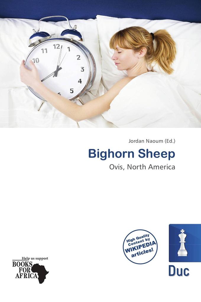 Bighorn Sheep