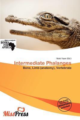 Intermediate Phalanges