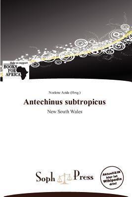Antechinus subtropicus