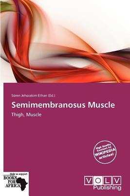 Semimembranosus Muscle