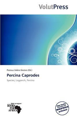 Percina Caprodes