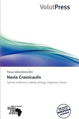 Navia Crassicaulis