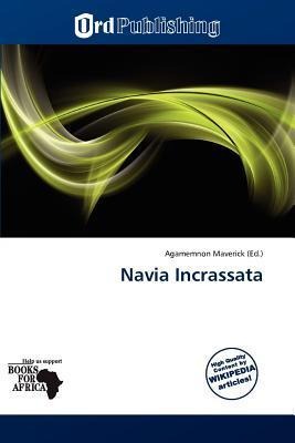 Navia Incrassata