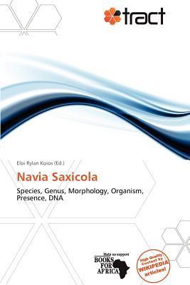 Navia Saxicola