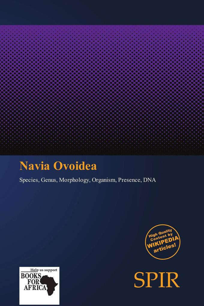 Navia Ovoidea
