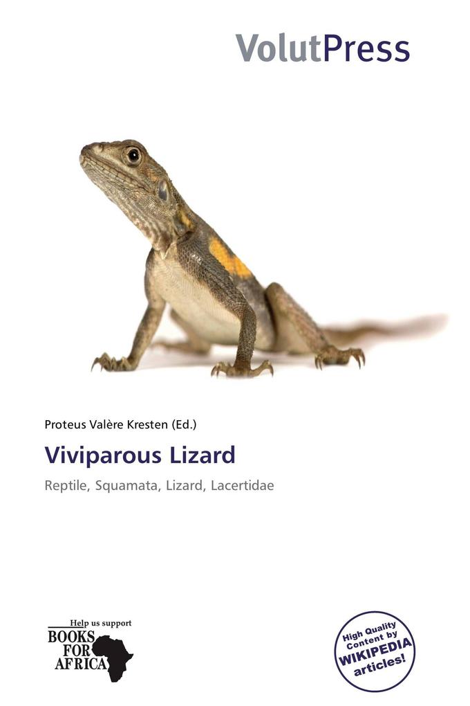 Viviparous Lizard