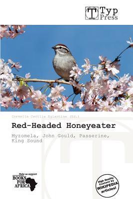 Red-Headed Honeyeater