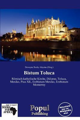 Bistum Toluca