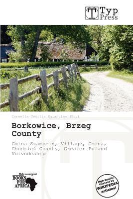 Borkowice Brzeg County