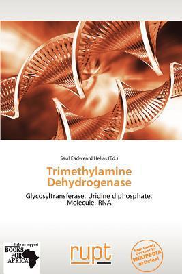 Trimethylamine Dehydrogenase