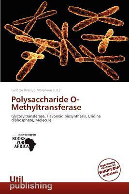 Polysaccharide O-Methyltransferase