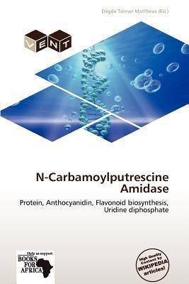 N-Carbamoylputrescine Amidase