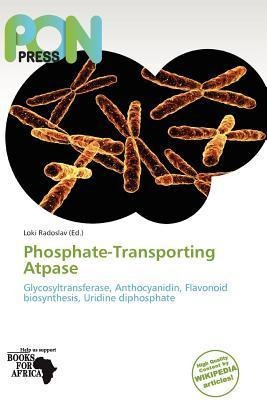 Phosphate-Transporting Atpase