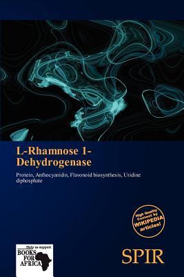 L-Rhamnose 1-Dehydrogenase