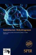 Indolelactate Dehydrogenase