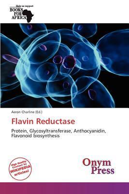 Flavin Reductase