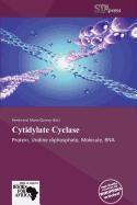 Cytidylate Cyclase