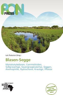 Blasen-Segge